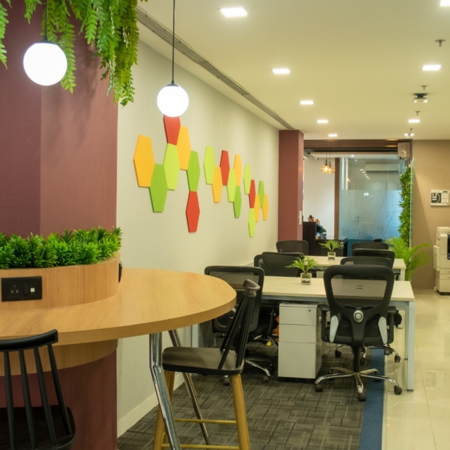 Dedicated Desks for Individuals